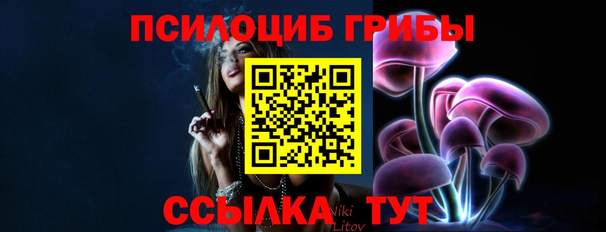 Псилоцибиновые грибы GOLDEN TEACHER Энгельс